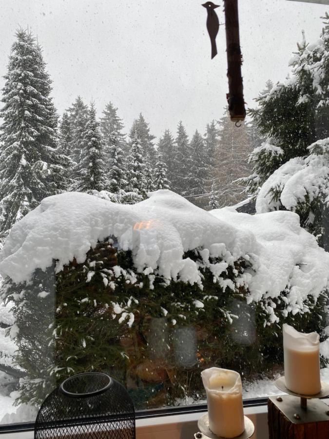 Schoenwald Waldchalet Am Musenberg Stryck Екстериор снимка