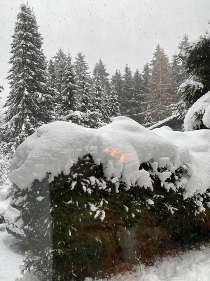 Schoenwald Waldchalet Am Musenberg Stryck Екстериор снимка