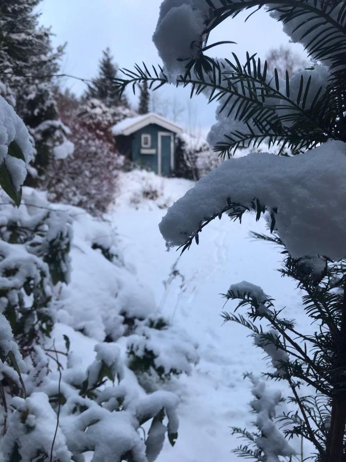 Schoenwald Waldchalet Am Musenberg Stryck Екстериор снимка