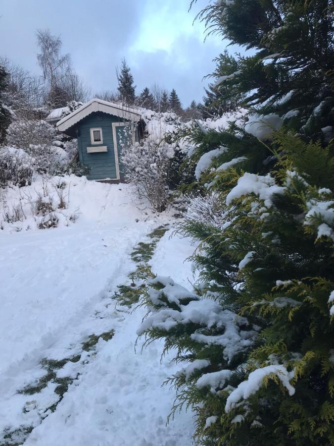 Schoenwald Waldchalet Am Musenberg Stryck Екстериор снимка
