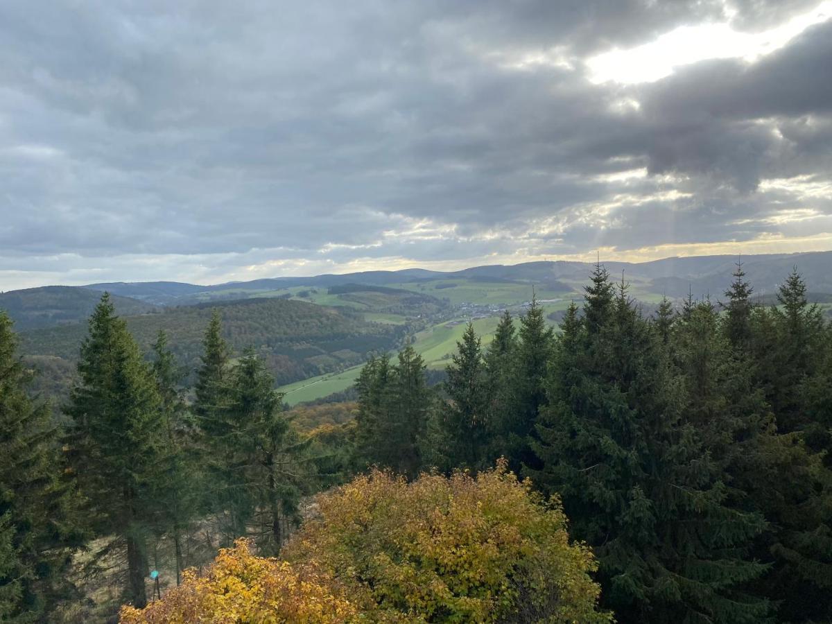 Schoenwald Waldchalet Am Musenberg Stryck Екстериор снимка